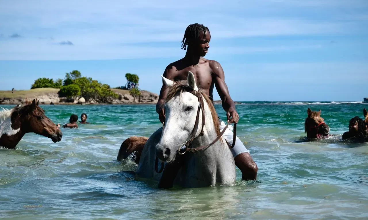 A guide swimming a grey horse through the sea